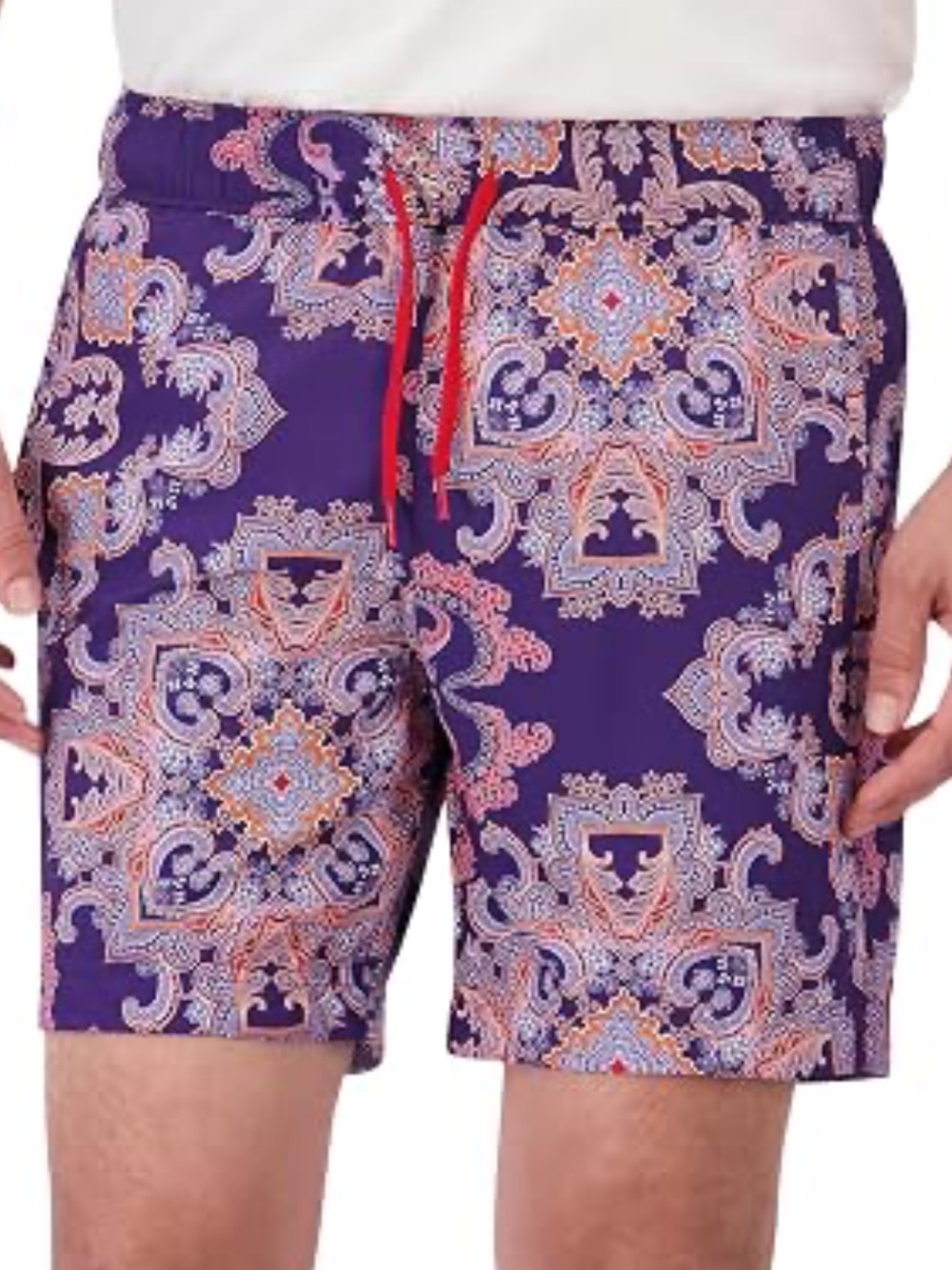 Robert Graham Men's Loki Woven Swim Shorts paisley size XL